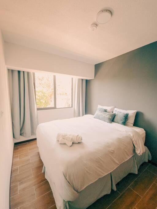 Entire Beautiful Condo With Rooftop Pool And Gym San Salvador Eksteriør billede